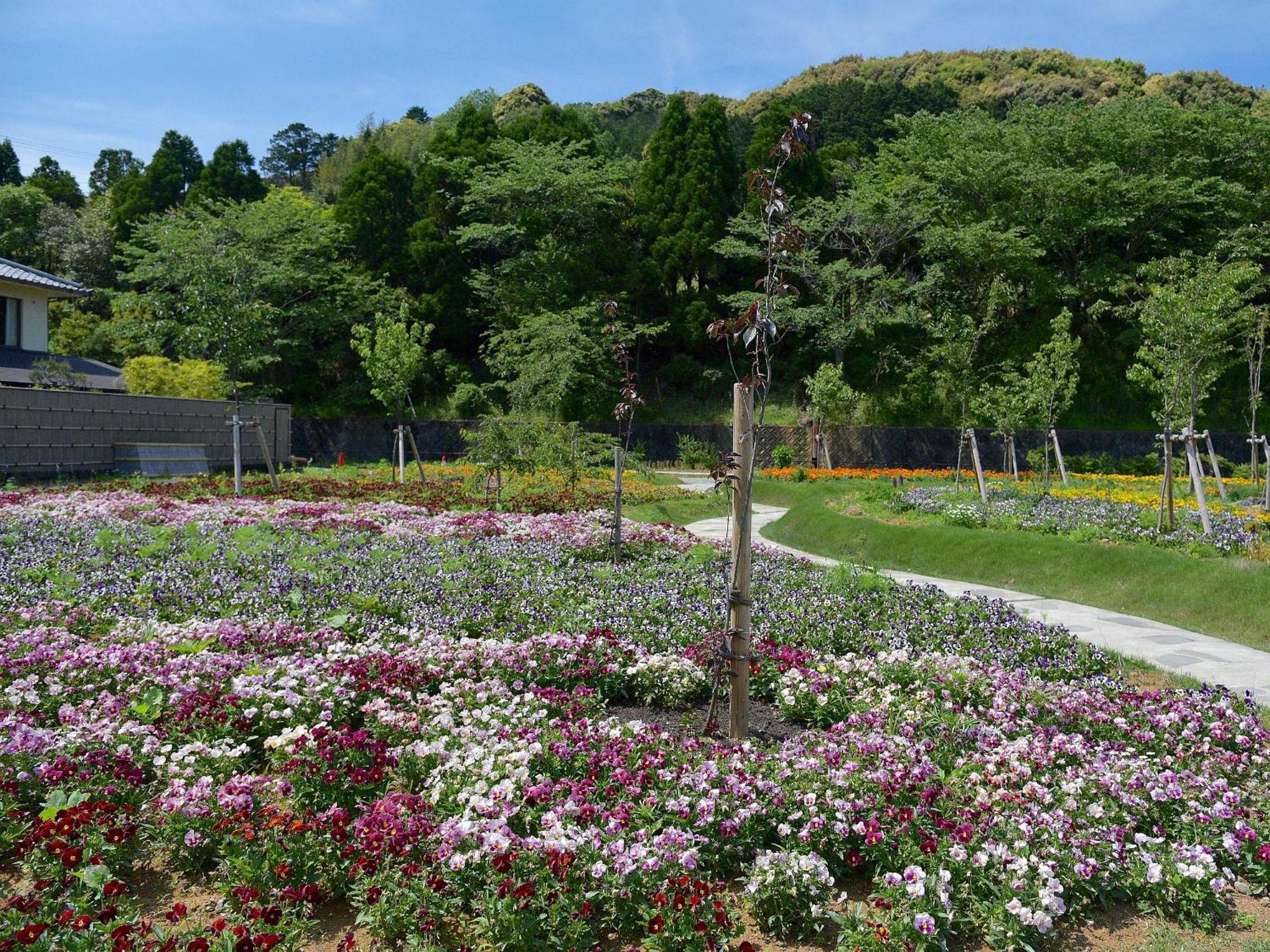 Shimoda Central Hotel Luaran gambar